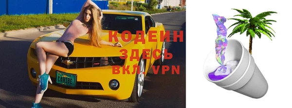 ГАЛЛЮЦИНОГЕННЫЕ ГРИБЫ Горняк