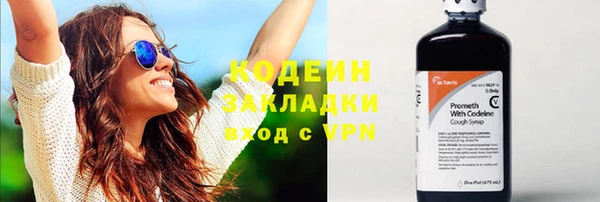ГАЛЛЮЦИНОГЕННЫЕ ГРИБЫ Горняк