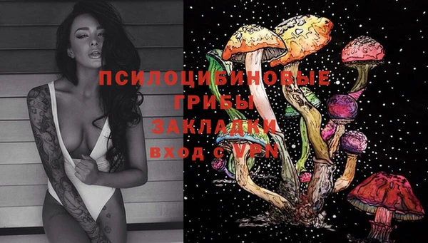 спайс Горно-Алтайск