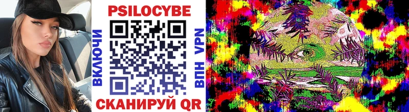 Купить  Мураши  Псилоцибиновые грибы Psilocybine cubensis 